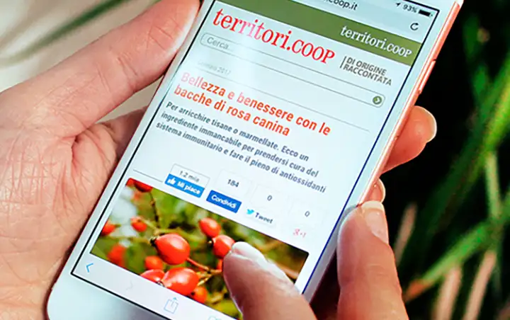 Territori Coop — Social media